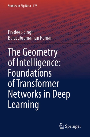Pradeep Singh, Balasubramanian Raman - Geometry of Intelligence: Foundations of Transformer Networks in Deep Learning, Häftad