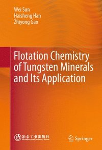 bokomslag Flotation Chemistry of Tungsten Minerals and Its Application