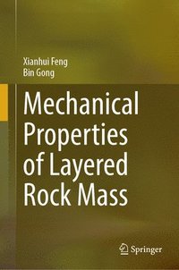 bokomslag Mechanical Properties of Layered Rock Mass
