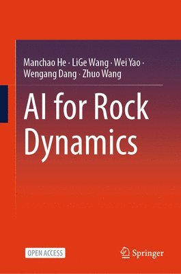 bokomslag AI for Rock Dynamics