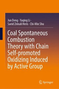 bokomslag Coal Spontaneous Combustion Theory with Chain Self-promoted Oxidizing Induced by Active Group