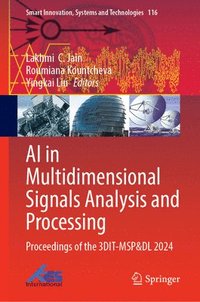 bokomslag AI in Multidimensional Signals Analysis and Processing