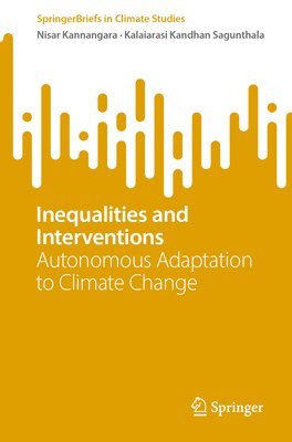 bokomslag Inequalities and Interventions
