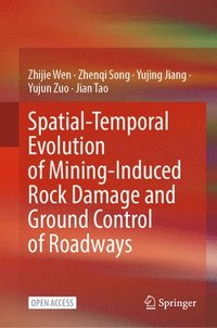 bokomslag Spatial-Temporal Evolution of Mining-Induced Rock Damage and  Ground Control of Roadways
