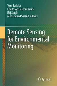 bokomslag Remote Sensing for Environmental Monitoring