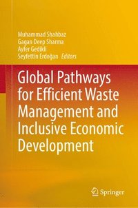 bokomslag Global Pathways for Efficient Waste Management and Inclusive Economic Development