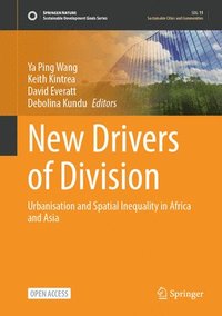bokomslag New Drivers of Division