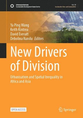 bokomslag New Drivers of Division