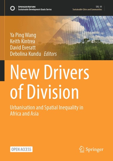 Ya Ping Wang, Keith Kintrea, David Everatt, Debolina Kundu - New Drivers of Division, Häftad