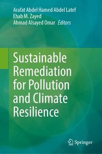 bokomslag Sustainable Remediation for Pollution and Climate Resilience