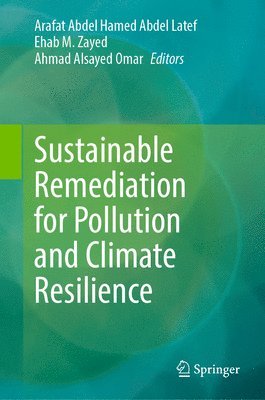 bokomslag Sustainable Remediation for Pollution and Climate Resilience
