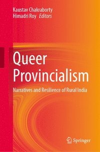 bokomslag Queer Provincialism
