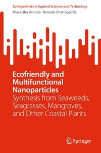 bokomslag Ecofriendly and Multifunctional Nanoparticles