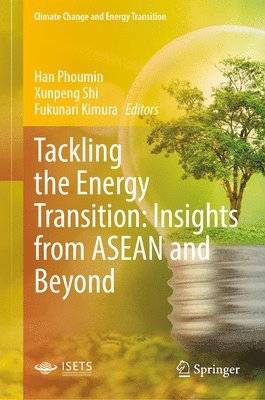 bokomslag Tackling the Energy Transition: Insights from ASEAN and Beyond