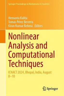 bokomslag Nonlinear Analysis and Computational Techniques