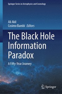 bokomslag Black Hole Information Paradox