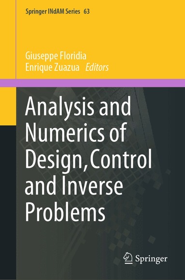 Giuseppe Floridia, Enrique Zuazua - Analysis and Numerics of Design, Control and Inverse Problems, Inbunden