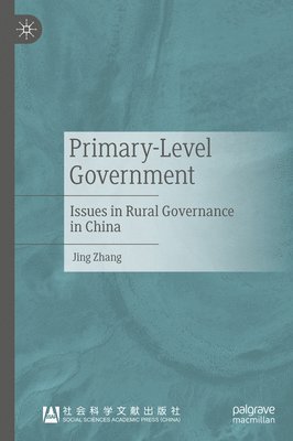 bokomslag Primary-Level Government