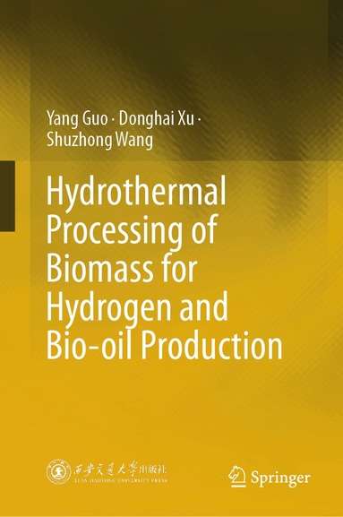 Yang Guo, Donghai Xu, Shuzhong Wang - Hydrothermal Processing of Biomass for Hydrogen and Bio-oil Production, Inbunden