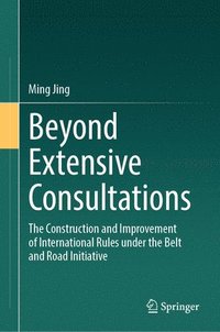 bokomslag Beyond Extensive Consultations