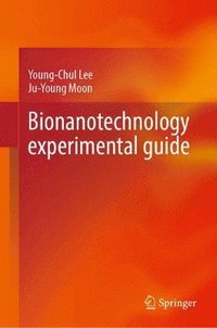 bokomslag Bionanotechnology experimental guide