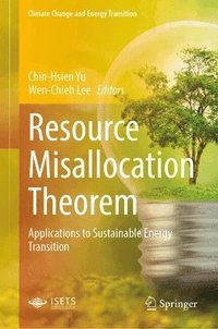 bokomslag Resource Misallocation Theorem