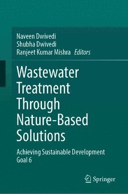 bokomslag Wastewater Treatment Through Nature-Based Solutions