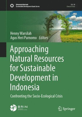 bokomslag Approaching Natural Resources for Sustainable Development in Indonesia