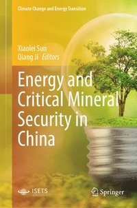 bokomslag Energy and Critical Mineral Security in China