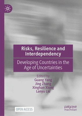 bokomslag Risks, Resilience and Interdependency