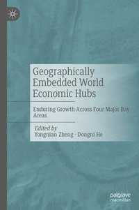 bokomslag Geographically Embedded World Economic Hubs