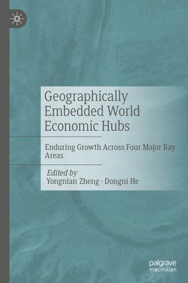 bokomslag Geographically Embedded World Economic Hubs