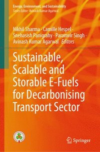 bokomslag Sustainable, Scalable and Storable E-Fuels for Decarbonising Transport Sector