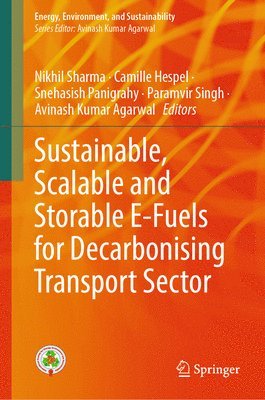 bokomslag Sustainable, Scalable and Storable E-Fuels for Decarbonising Transport Sector