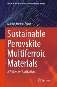 bokomslag Sustainable Perovskite Multiferroic Materials