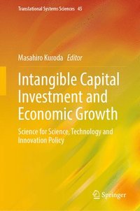 bokomslag Intangible Capital Investment and Economic Growth