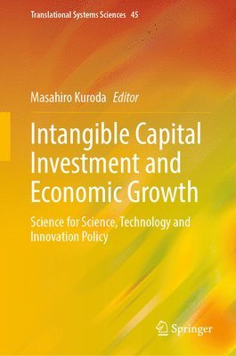 bokomslag Intangible Capital Investment and Economic Growth