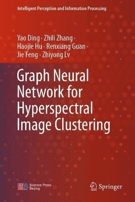 bokomslag Graph Neural Network for Hyperspectral Image Clustering