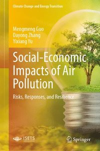 bokomslag Social-Economic Impacts of Air Pollution