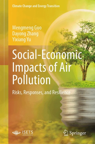 Mengmeng Guo, Dayong Zhang, Yixiang Yu - Social-Economic Impacts of Air Pollution, Inbunden