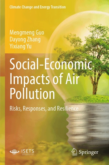 Mengmeng Guo, Dayong Zhang, Yixiang Yu - Social-Economic Impacts of Air Pollution, Häftad