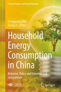 bokomslag Household Energy Consumption in China