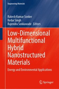 bokomslag Low-Dimensional Multifunctional Hybrid Nanostructured Materials