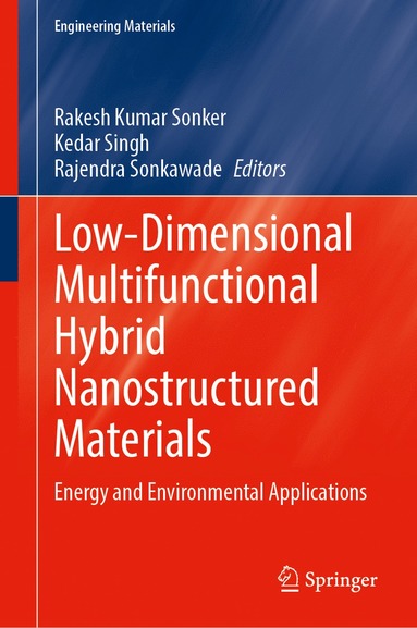 bokomslag Low-Dimensional Multifunctional Hybrid Nanostructured Materials