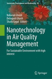 bokomslag Nanotechnology in Air Quality Management