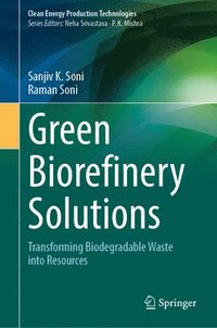 bokomslag Green Biorefinery Solutions