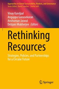 bokomslag Rethinking Resources
