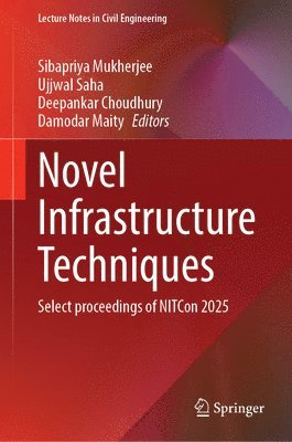 bokomslag Novel Infrastructure Techniques