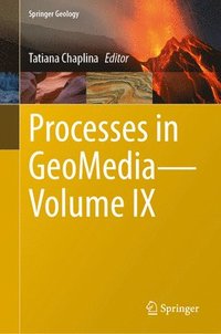 bokomslag Processes in GeoMedia-Volume IX