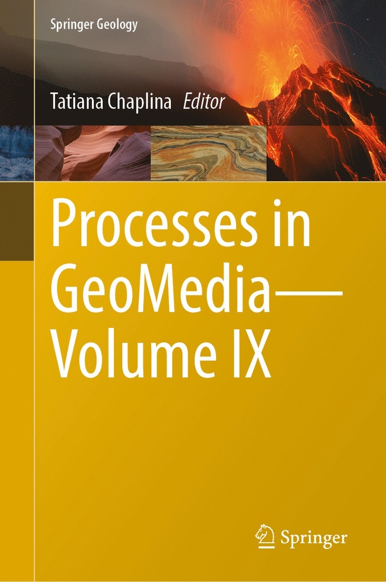 Tatiana Chaplina - Processes in GeoMedia—Volume IX, Inbunden